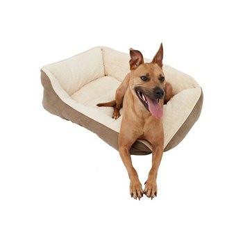 camas-para-perros
